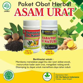 Illustration for article titled Obat Asam Urat Herbal